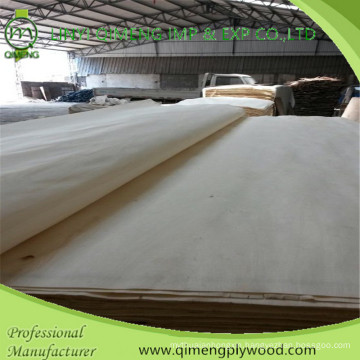 White Color Bleached Poplar Veneer From Linyi Qimeng